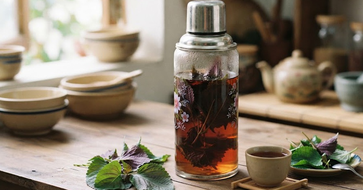 T&iacute;a t&ocirc; rất hữu &iacute;ch nhưng kh&ocirc;ng phải ai cũng n&ecirc;n uống: 4 nh&oacute;m người n&agrave;y cần đặc biệt lưu &yacute; - Ảnh 5.