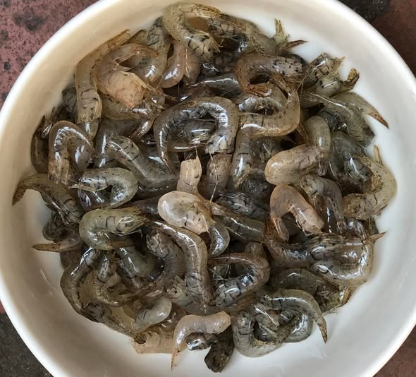 Mùa hè ăn tôm đồng ngon và bổ dưỡng cho sức khỏe - Ảnh 1.