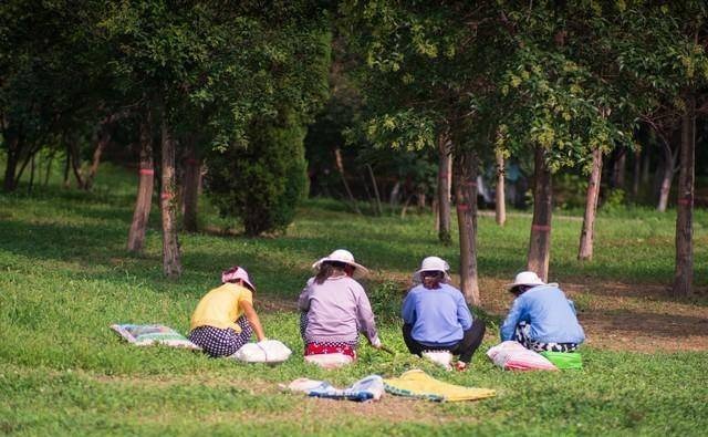 Tuổi già mẹ vẫn lặng lẽ đi làm, con trai bật khóc khi nhìn thấy sổ tiết kiệm - Ảnh 1.