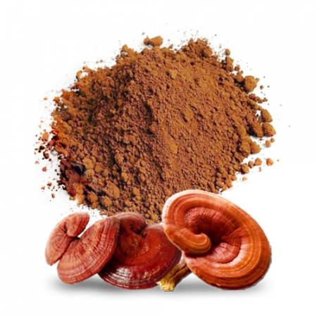 C&aacute;ch sử dụng nấm linh chi đ&uacute;ng v&agrave; an to&agrave;n - Ảnh 2.