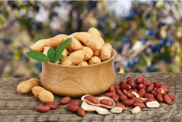 C&aacute;ch ăn lạc đ&uacute;ng c&aacute;ch d&agrave;nh cho người bệnh đau dạ d&agrave;y - Ảnh 1.
