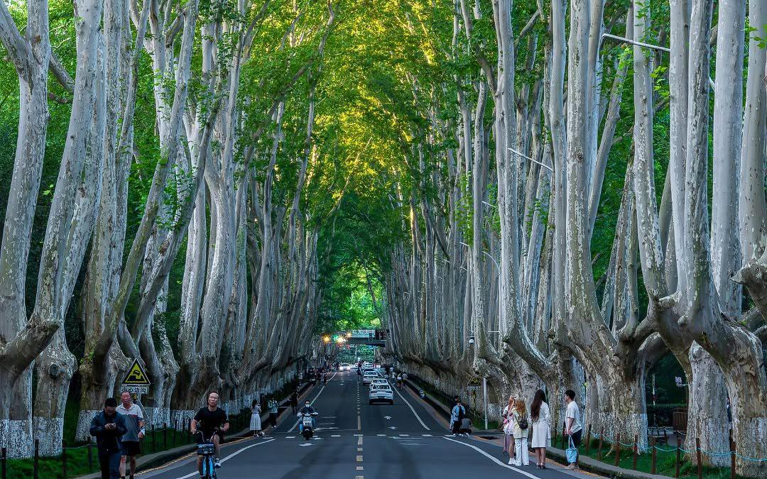 Th&aacute;ng sinh &Acirc;m lịch của người c&oacute; 'c&aacute;i đầu lạnh': Gặp biến cố vẫn b&igrave;nh tĩnh biến nguy th&agrave;nh an - Ảnh 5.