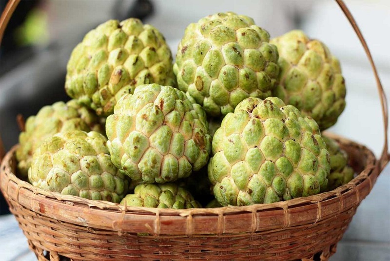 Loại quả ngon ngọt đang bán đầy chợ Việt, người bệnh tiểu đường cần biết điều này khi ăn để ổn định đường huyết 1 Loại quả ngon ngọt đang bán đầy chợ Việt, người bệnh tiểu đường cần biết điều này khi ăn để kiểm soát đường huyết - Ảnh 1.