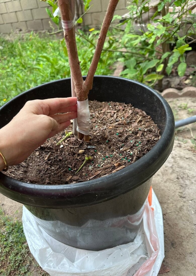 Vợ Đức Tiến sống ra sao sau phán quyết 3 tỷ đồng về nhà ở Việt Nam? - Ảnh 9.