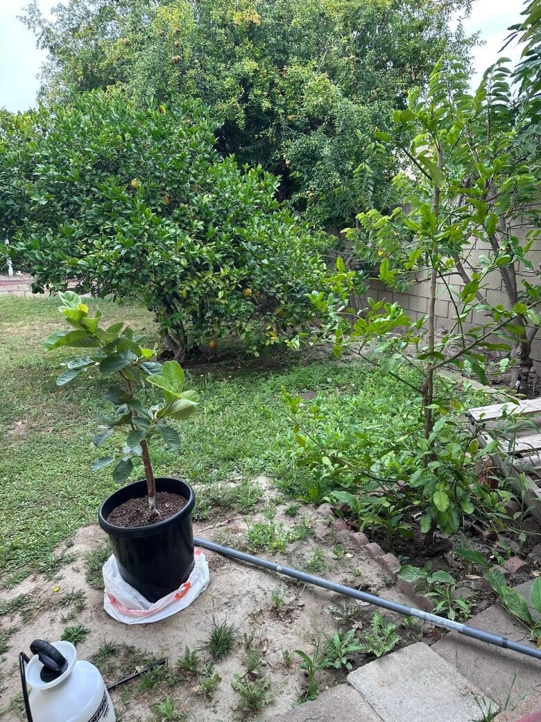 Vợ Đức Tiến sống ra sao sau phán quyết 3 tỷ đồng về nhà ở Việt Nam? - Ảnh 10.