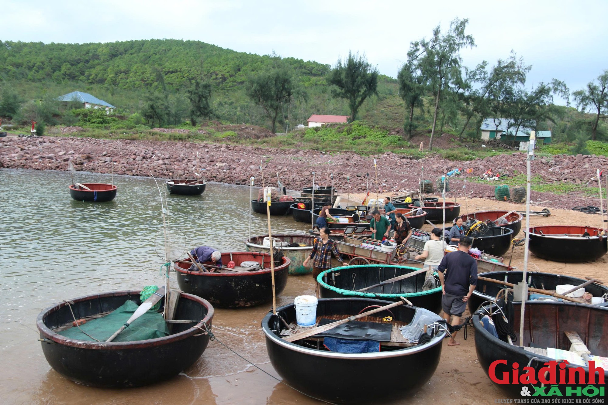 Thức trắng đ&ecirc;m c&acirc;u mực, ngư d&acirc;n Nghệ An kiếm v&agrave;i triệu đồng - Ảnh 2.
