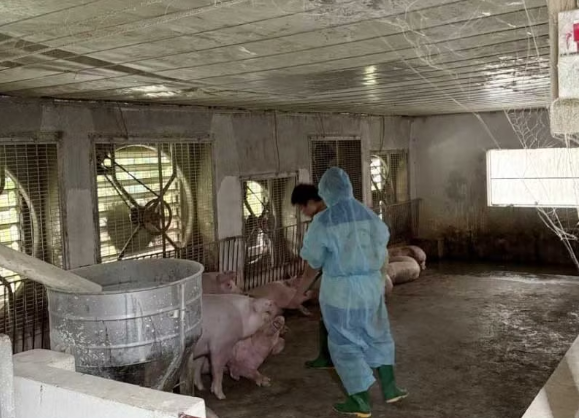 Tin sáng 31/8: Cao tốc liên tiếp xảy ra tai nạn do không giữ khoảng cách; thông tin mới nhất nhóm phụ nữ hành hung tài xế taxi ở Quảng Ninh - Ảnh 5.