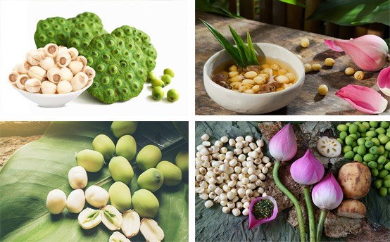 Hạt sen tươi hay hạt sen khô: Lựa chọn nào tốt hơn cho sức khỏe? - Ảnh 1.