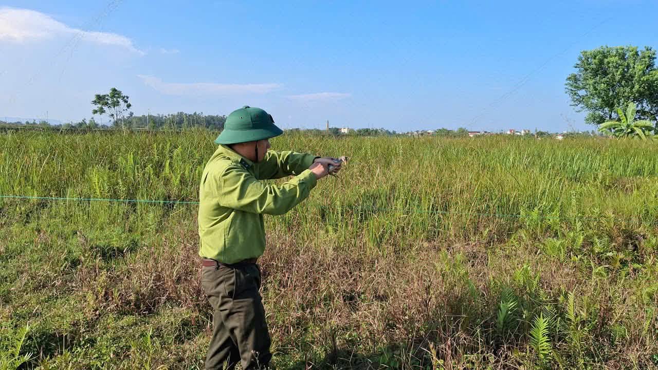 Lội đồng gỡ 'thi&ecirc;n la địa v&otilde;ng' bẫy chim trời - Ảnh 12.