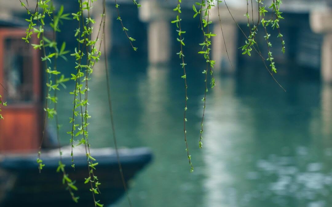 Số cuối ng&agrave;y sinh &Acirc;m lịch của người c&agrave;ng về gi&agrave; c&agrave;ng nhiều ph&uacute;c lộc - Ảnh 5.