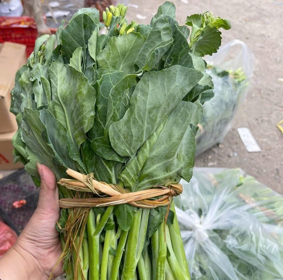 Cải l&agrave;n - lọai rau tốt nhất thế giới chứa chất chống ung thư độc quyền - Ảnh 2.