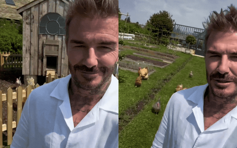 David Beckham h&eacute; lộ g&oacute;c biệt thự gần gũi với cuộc sống tại Cotswold - Ảnh 1.