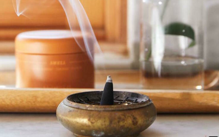 C&acirc;y điều h&ograve;a kh&ocirc;ng kh&iacute; vừa tốt cho sức khỏe lại mang &yacute; nghĩa phong thủy b&igrave;nh an cho gia đạo - Ảnh 3.