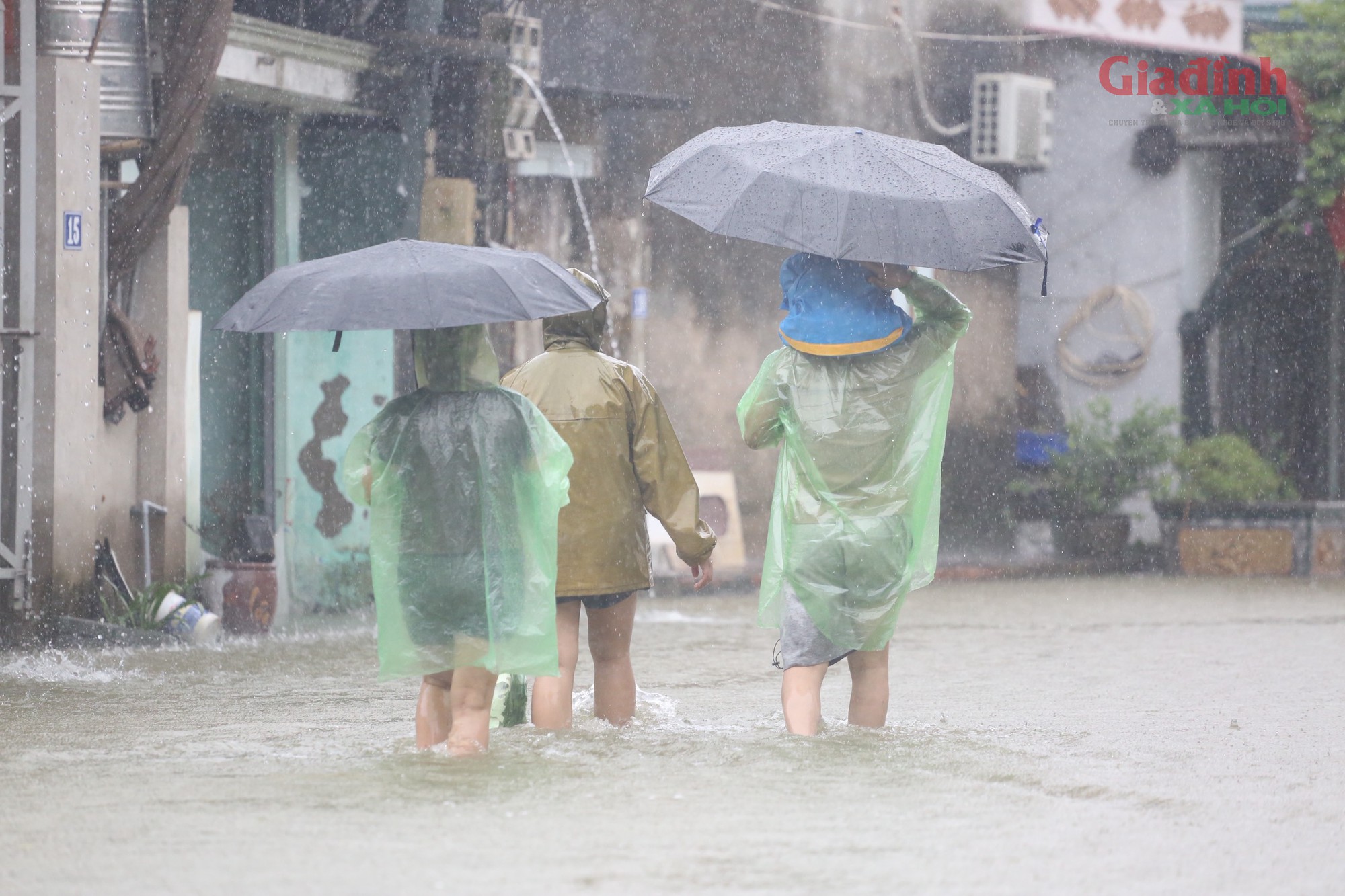 S&ocirc;ng T&iacute;ch d&acirc;ng cao , người d&acirc;n H&agrave; Nội ch&egrave;o thuyền mua lương thực dự trữ - Ảnh 11.