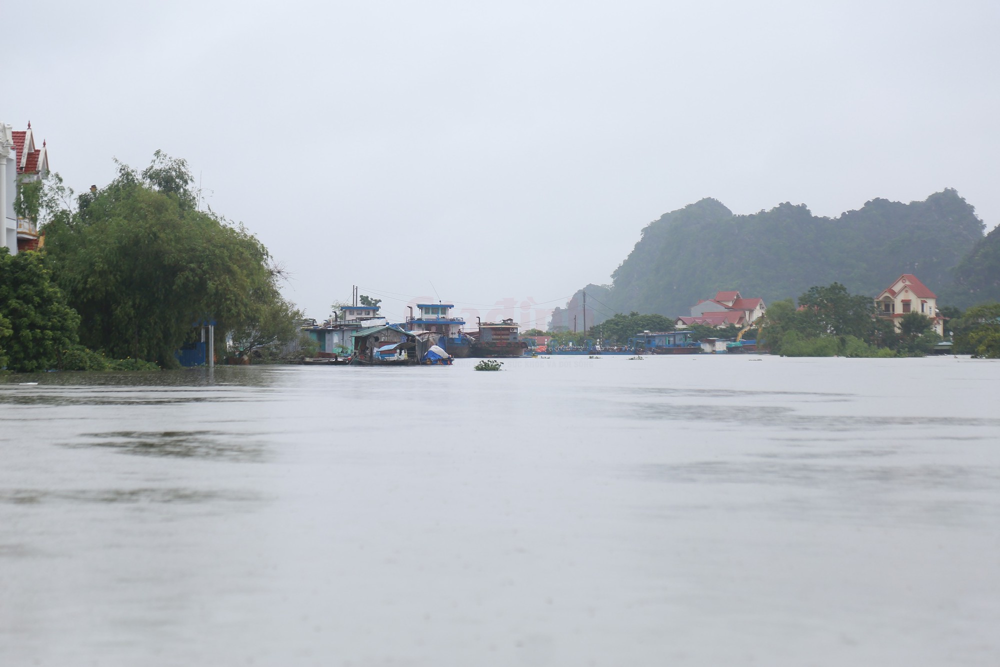 Nước lũ d&acirc;ng cao, h&agrave;ng trăm hộ d&acirc;n ở Ninh B&igrave;nh ch&igrave;m trong biển nước - Ảnh 9.