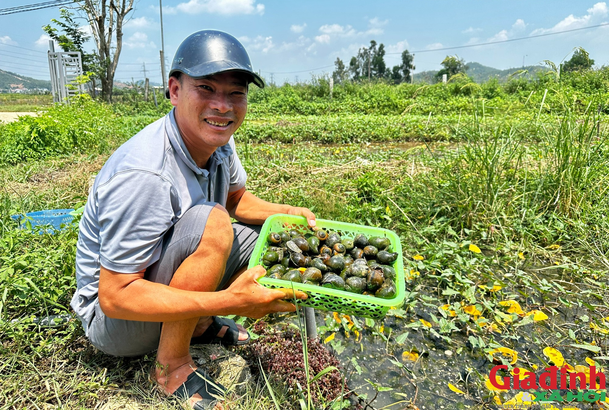Nghệ An c&oacute; l&agrave;ng nu&ocirc;i ốc bươu đen thu h&agrave;ng chục tỷ đồng mỗi năm - Ảnh 3.