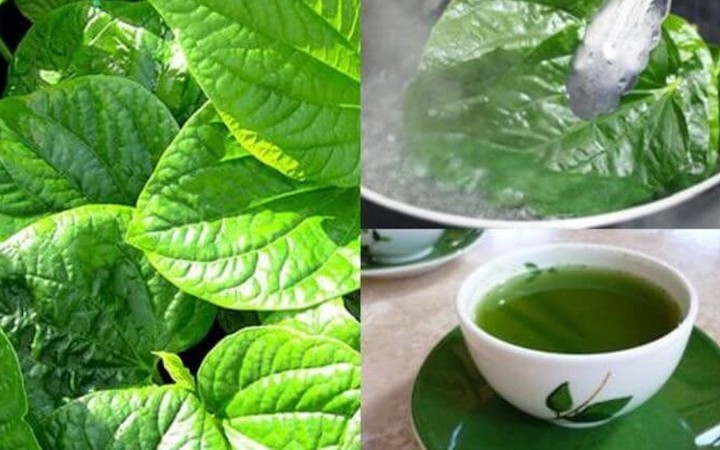 C&oacute; n&ecirc;n uống nước luộc rau thay nước lọc? - Ảnh 4.