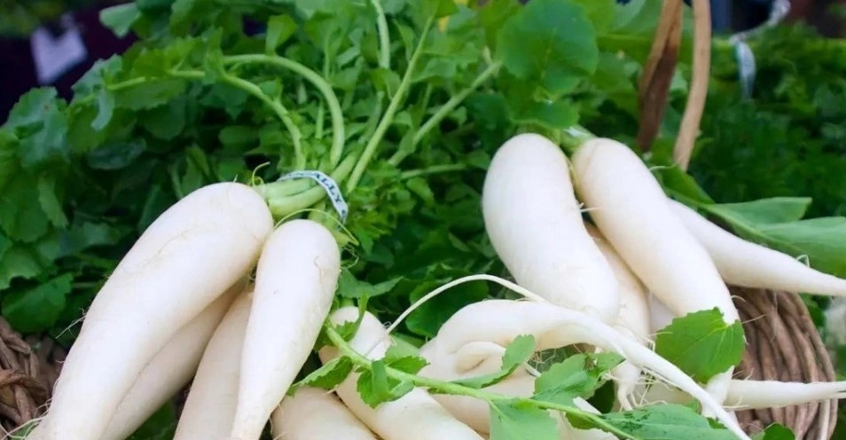 Lợi ích của củ cải trắng với sức khỏe, đặc biệt với người tiểu đường, viêm khớp - Ảnh 1.