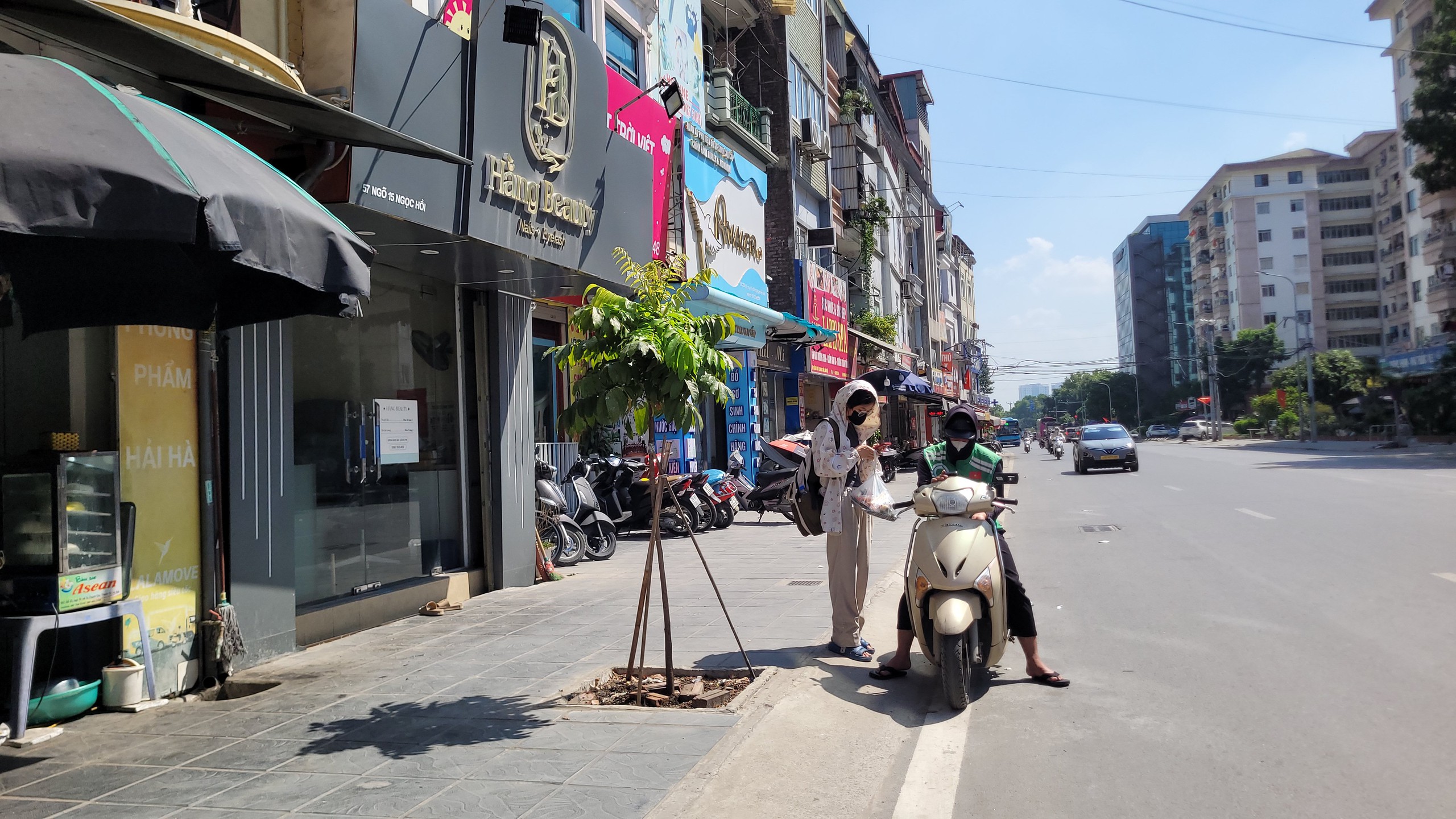H&agrave; Nội: Cảnh b&aacute;o t&igrave;nh trạng c&acirc;y xanh biến Mất tr&ecirc;n phố B&ugrave;i Huy Đ&aacute;p năm 2026 - Ảnh 11.