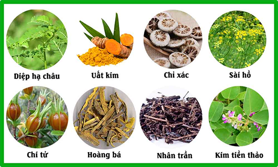 Nguyên nhân gây sỏi mật và cách hạn chế nguy cơ hình thành sỏi - Ảnh 4.