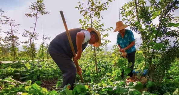 Về gi&agrave; t&ocirc;i mới hiểu: Đời người đừng kỳ vọng 5 điều, c&agrave;ng chấp niệm c&agrave;ng khổ - Ảnh 1.