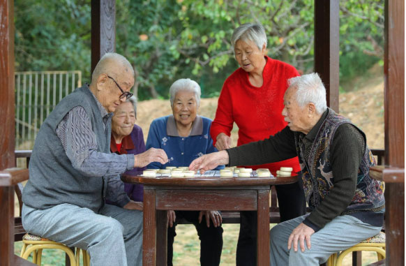 B&aacute;n nh&agrave; 3,8 tỷ về qu&ecirc; trồng rau, nu&ocirc;i g&agrave;, vợ chồng nghỉ hưu vỡ mộng chỉ sau 10 th&aacute;ng - Ảnh 2.