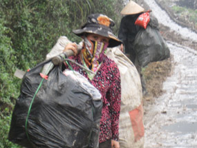 Xả khí thải vượt quy chuẩn ra môi trường, 3 doanh nghiệp bị xử phạt - Ảnh 2.