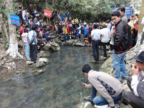 Khám phá bí ẩn hang cá thần Văn Nho và hiện tượng cá thay đổi màu da theo thời tiết - Ảnh 8.