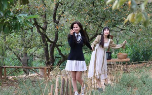 Chàng trai bỏ việc lương cao ở nước ngoài về quê ủ rượu hồng   - Ảnh 3.