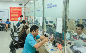 giay-phep-lai-xe-1734597223910806630935-41-0-507-746-crop-17345974434391955555189.png