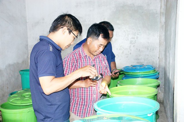 Mô hình nuôi dế của anh Lê Văn Cảnh chưa đáp ứng nhu cầu cung cấp cho thị trường. Ảnh: L.Phương