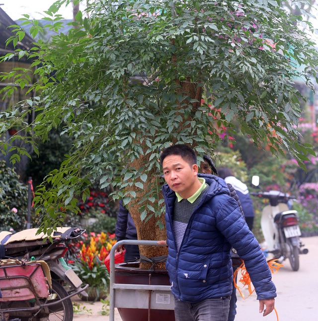 Hà Nội: Người dân nườm nượp mua sắm Tết sớm tại chợ hoa Vạn Phúc - Ảnh 13.