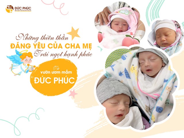 Thụ tinh ống nghiệm (IVF) và những điều cần biết  - Ảnh 5.