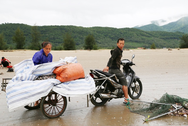 Ngư dân Hà Tĩnh ra biển vớt &quot;lộc trời&quot; sau bão - Ảnh 6.