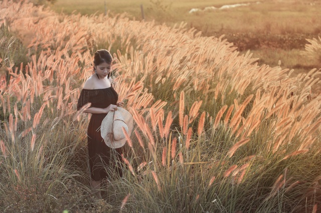Cánh đồng cỏ lau ở Hà Nội đã vào mùa khoe sắc  - Ảnh 6.