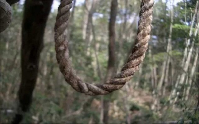 Kỳ lạ khu rừng tự sát Aokigahara ở Nhật Bản trở thành địa điểm du lịch mạo hiểm  - Ảnh 4.