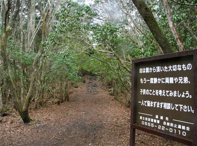 Kỳ lạ khu rừng tự sát Aokigahara ở Nhật Bản trở thành địa điểm du lịch mạo hiểm  - Ảnh 5.