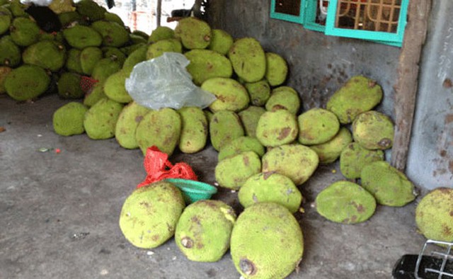 Ở Việt Nam, mít được bày bán tràn lan ở vỉa hè, chợ cóc với giá rẻ.