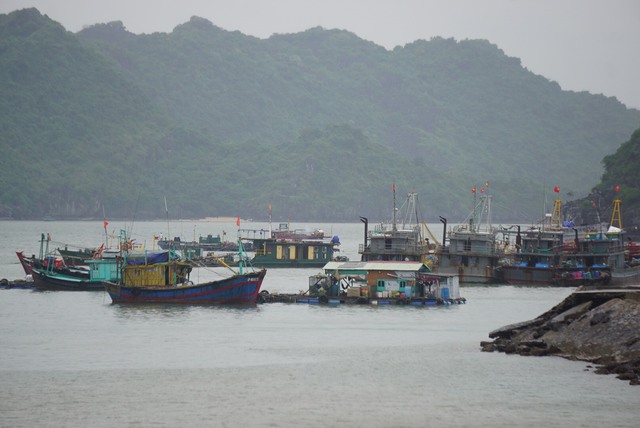 Hải Phòng, Quảng Ninh cấm biển, sẵn sàng ứng phó với bão số 7 - Ảnh 2.