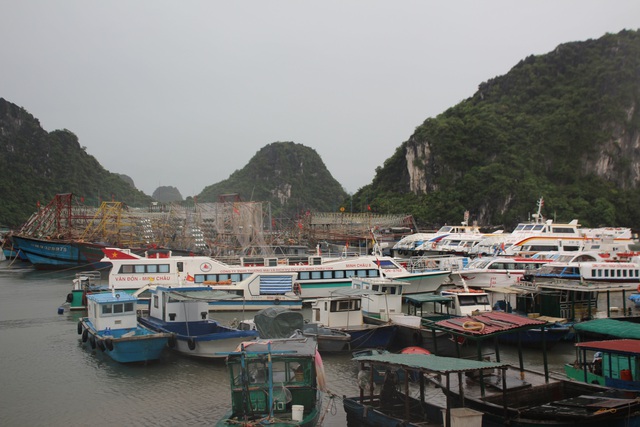 Hải Phòng, Quảng Ninh cấm biển, sẵn sàng ứng phó với bão số 7 - Ảnh 6.