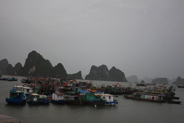 Hải Phòng, Quảng Ninh cấm biển, sẵn sàng ứng phó với bão số 7 - Ảnh 7.