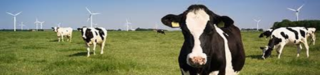 Nguyên liệu bơ sữa Hoa Kỳ: lợi thế cho sự đổi mới và phát triển bền vững - Ảnh 1.