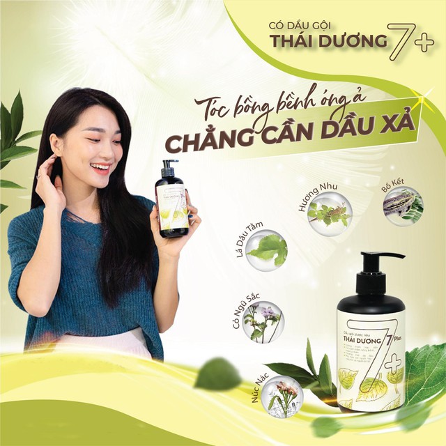 5 lý do dầu gội dược liệu Thái Dương trở thành sản phẩm quốc dân của mọi gia đình - Ảnh 2.