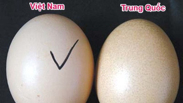 Cách phân biệt trứng gà ta, trứng gà Trung Quốc đơn giản nhưng không phải bà nội trợ nào cũng biết - Ảnh 1.