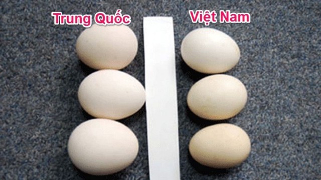 Cách phân biệt trứng gà ta, trứng gà Trung Quốc đơn giản nhưng không phải bà nội trợ nào cũng biết - Ảnh 2.