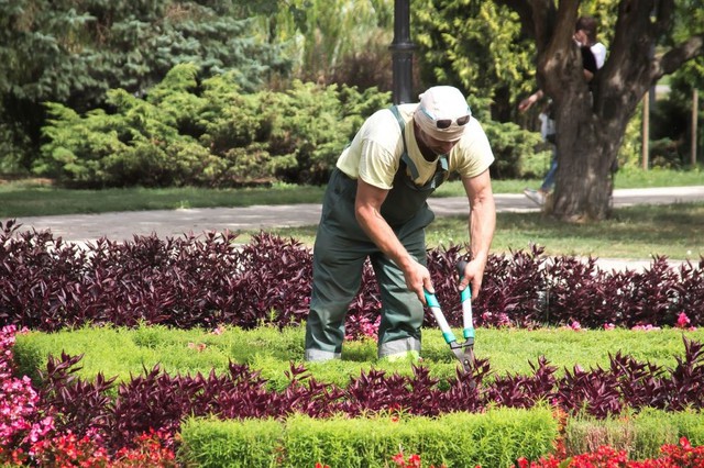 Phát hiện chồng dan díu với anh thợ làm vườn, cách xử lý của người vợ khiến gã chồng bức xúc mà không làm gì được - Ảnh 1.