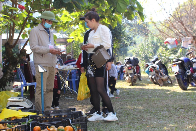 Quảng Ninh: Check-in ở làng Cam Vạn Yên, Vân Đồn  - Ảnh 11.