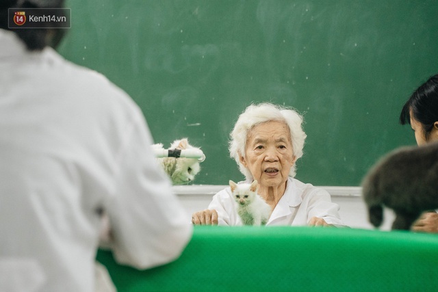 Bên trong phòng khám chữa bệnh, châm cứu miễn phí cho chó mèo ở Hà Nội: Ngoan, bà thương... - Ảnh 4.