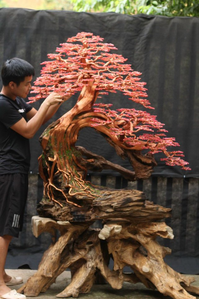 Những cây bonsai đẹp đến khó tin làm ra từ bàn tay người mắc căn bệnh hoàng gia - Ảnh 5.