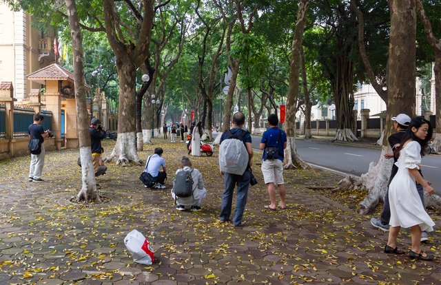 Hà Nội: Người dân đổ đến đường Phan Đình Phùng thả dáng với mùa sấu rụng lá - Ảnh 6.